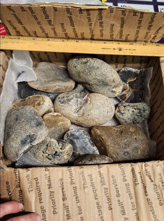 Bulk Low-Grade Raw Montana Agates