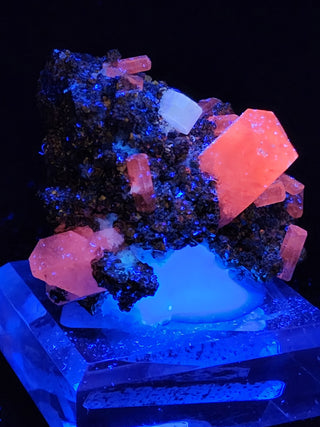 UV Reactive
