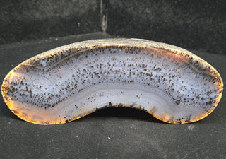 Polished Specimens