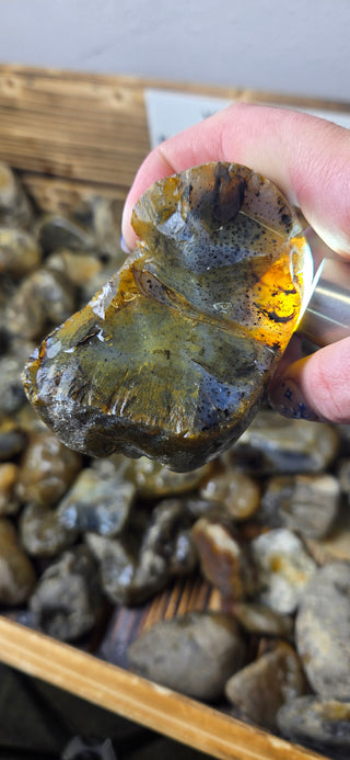 Bulk Raw Montana Agates