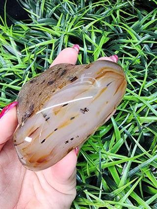 Montana Agate Specimen