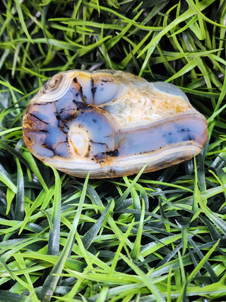 Montana Agate Specimen