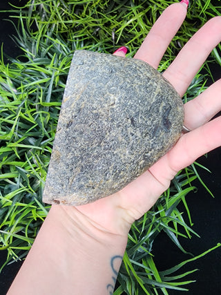 Montana Agate Specimen