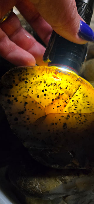 Bulk High Grade Raw Montana Agate