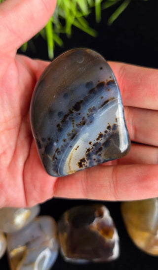 Large Size Montana Agate Tumbles
