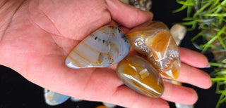 Small Size Montana Agate Tumbles