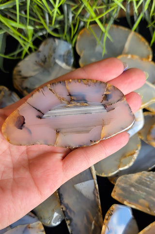 Montana Agate Tumbled Slabs
