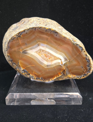 6.2 Pound Montana Agate Face Polish Specimen