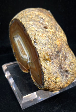6.2 Pound Montana Agate Face Polish Specimen