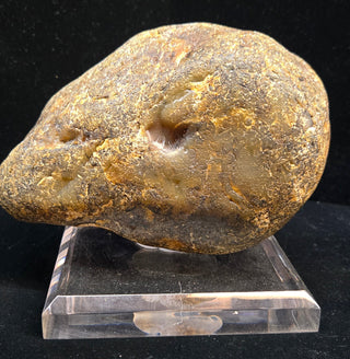 6.2 Pound Montana Agate Face Polish Specimen