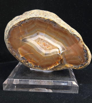 6.2 Pound Montana Agate Face Polish Specimen