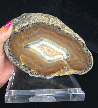 6.2 Pound Montana Agate Face Polish Specimen