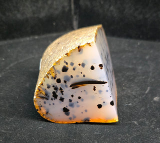 Double Face Polish Montana Agate Specimen