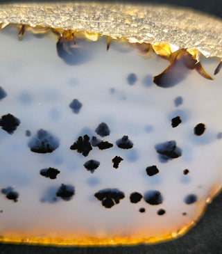 Double Face Polish Montana Agate Specimen