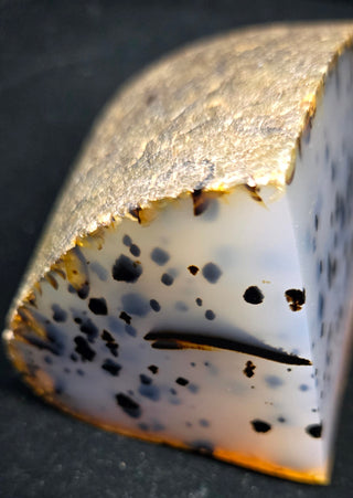 Double Face Polish Montana Agate Specimen