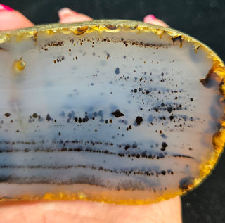 Montana Agate Face Polish Specimen