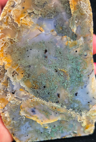 Montana Agate Face Polish Pair