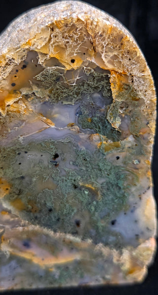 Montana Agate Face Polish Pair
