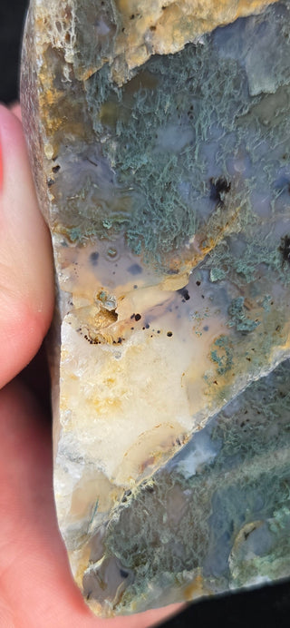 Montana Agate Face Polish Pair