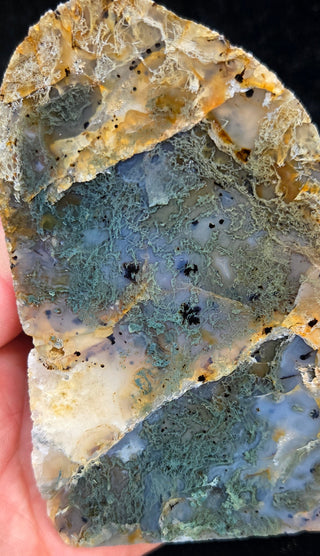Montana Agate Face Polish Pair
