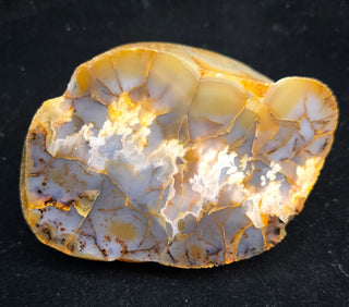 Montana Agate Face Polish Specimen
