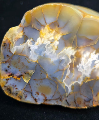 Montana Agate Face Polish Specimen