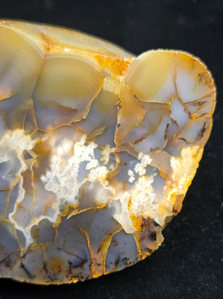 Montana Agate Face Polish Specimen
