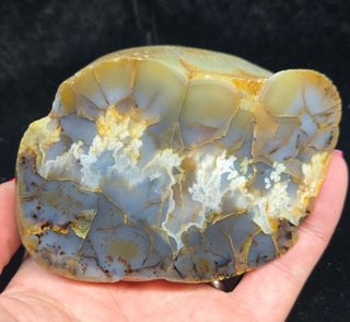 Montana Agate Face Polish Specimen