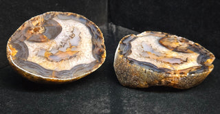 Complete Montana Agate Pair