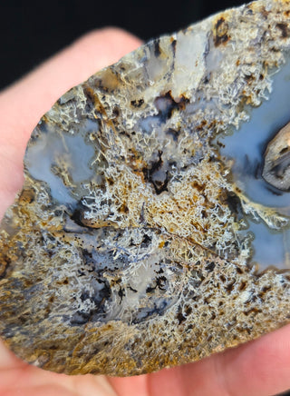 True Montana Moss Agate Face Polish Specimen