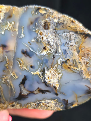 True Montana Moss Agate Face Polish Specimen