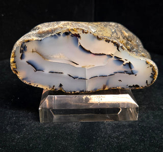 Montana Agate Face Polish Specimen