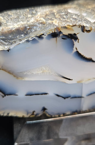 Montana Agate Face Polish Specimen
