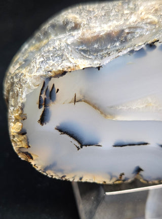 Montana Agate Face Polish Specimen