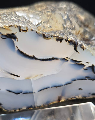Montana Agate Face Polish Specimen
