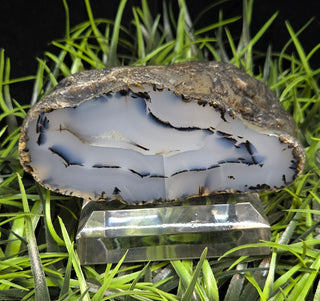 Montana Agate Face Polish Specimen