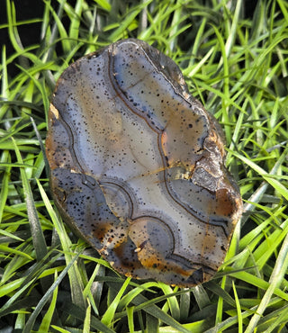 Montana Agate Face Polish Specimen