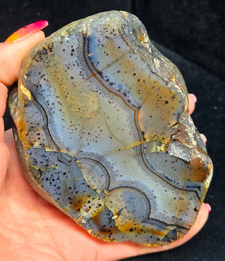 Montana Agate Face Polish Specimen