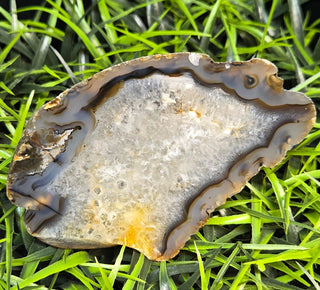 Montana Agate Face Polish Specimen