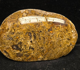 True Montana Moss Agate Specimen