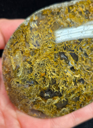 True Montana Moss Agate Specimen