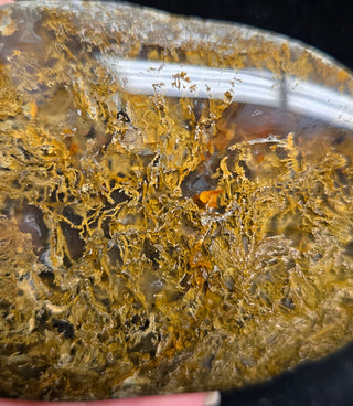 True Montana Moss Agate Specimen