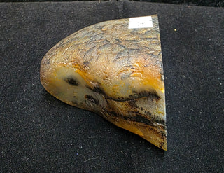 Montana Agate Face Polish Specimen