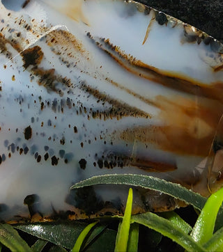 Montana Agate Face Polish Specimen