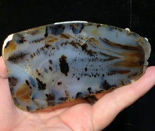Montana Agate Face Polish Specimen