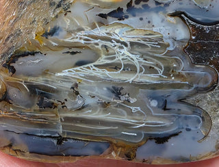 Montana Agate Face Polish Specimen