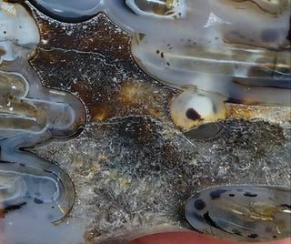 Montana Agate Face Polish Specimen