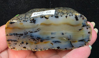 Montana Agate Face Polished Specimen