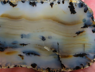 Montana Agate Face Polished Specimen
