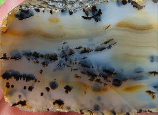 Montana Agate Face Polished Specimen